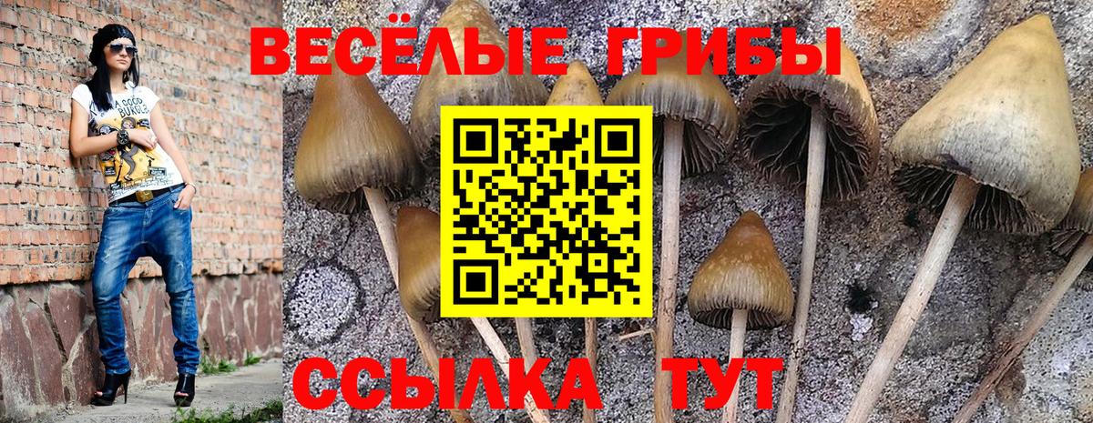 Псилоцибиновые грибы GOLDEN TEACHER Алапаевск