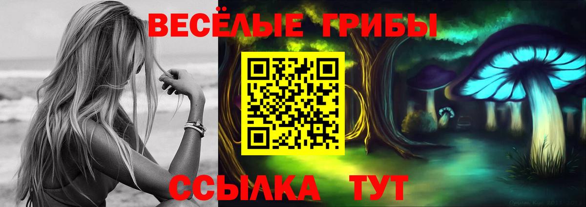 Алапаевск  Псилоцибиновые грибы MAGIC MUSHROOMS  Галлюциногенные грибы Cubensis  Вход с VPN 